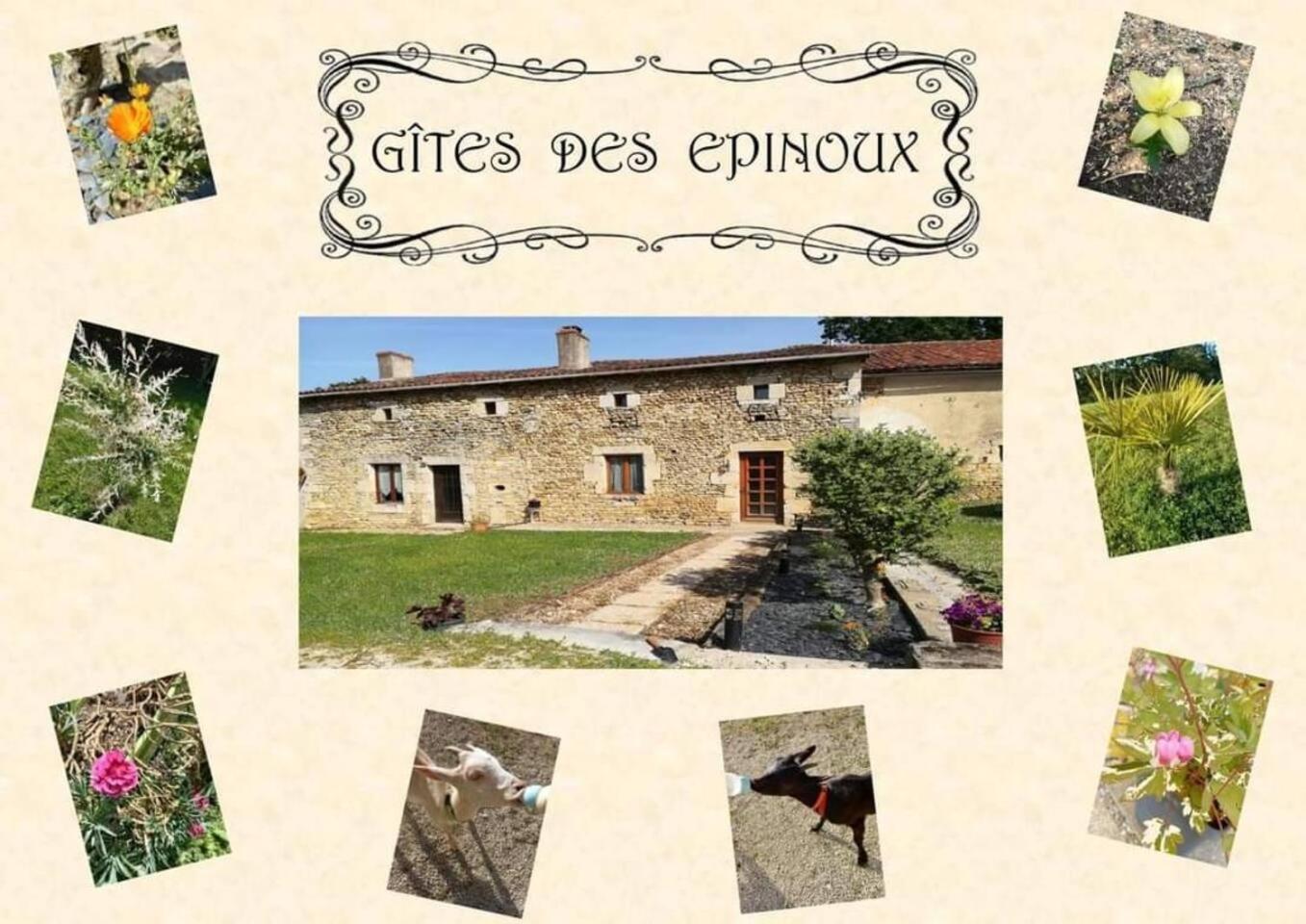 Le Papillon Villa Savigne Kültér fotó